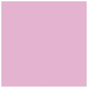 Papir u boji B1 200g Bristol Color pk10 Connect 170 rozi